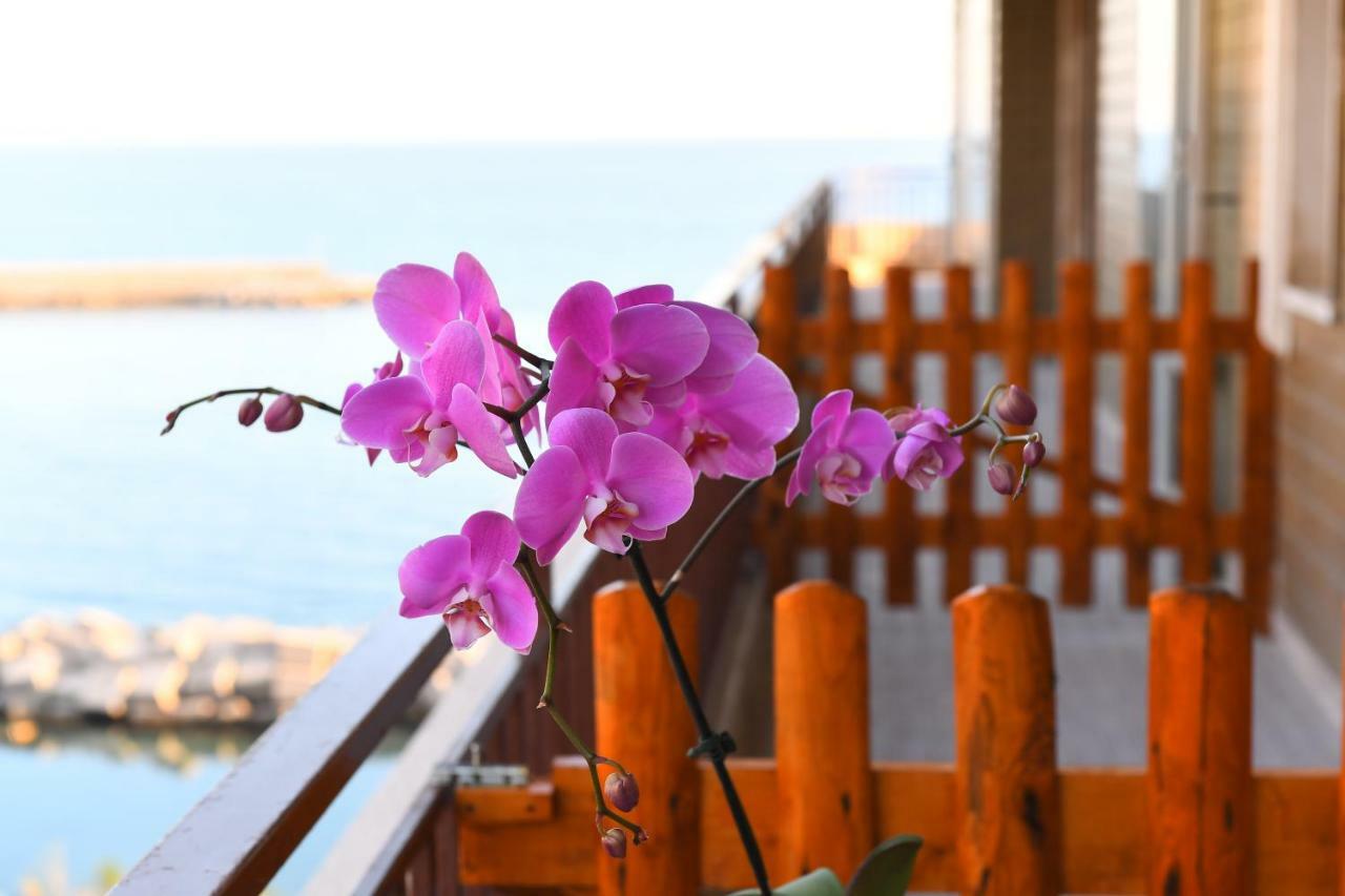Attico 195 Bed and breakfast 2*